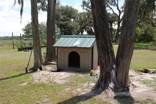 18811 SE 243rd St, Hawthorne, FL 32640 - Photo 32