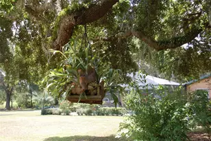 18811 SE 243rd St, Hawthorne, FL 32640 - Photo 40