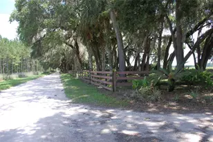 18811 SE 243rd St, Hawthorne, FL 32640 - Photo 36