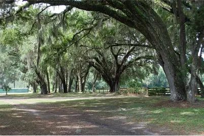 18811 SE 243rd Street, Hawthorne, FL 32640 - Photo 22