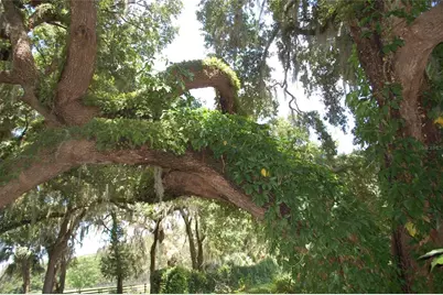 18811 SE 243rd Street, Hawthorne, FL 32640 - Photo 34