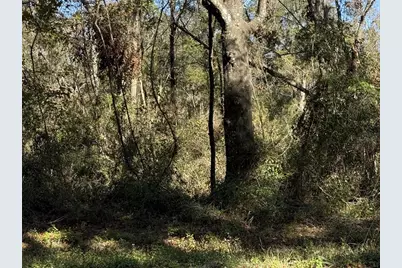 Tbd SE Cr 349, Lake City, FL 32025 - Photo 2