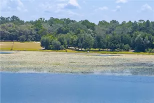 8048 County Line Rd, Melrose, FL 32666 - Photo 34