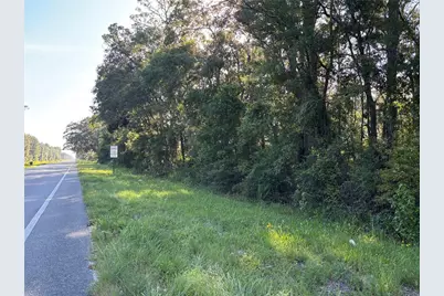 Ne Highway 351, Cross City, FL 32628 - Photo 2