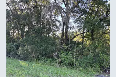 Ne Highway 351, Cross City, FL 32628 - Photo 6