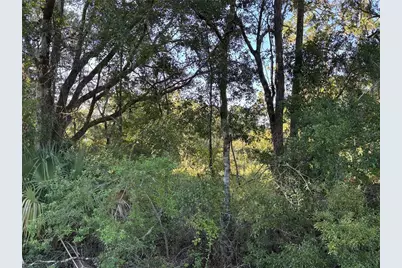 Ne Highway 351, Cross City, FL 32628 - Photo 10