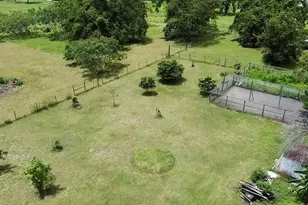 9150 SW 151st Ln, Archer, FL 32618 - Photo 68