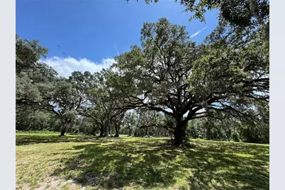 1220 N US Highway 41, Dunnellon, FL 34432 - Photo 8