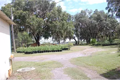 18811 SE 243rd Street, Hawthorne, FL 32640 - Photo 4