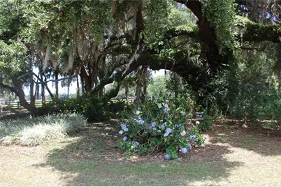 18811 SE 243rd Street, Hawthorne, FL 32640 - Photo 30