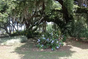 18811 SE 243rd St, Hawthorne, FL 32640 - Photo 30