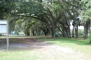 18811 SE 243rd St, Hawthorne, FL 32640 - Photo 2