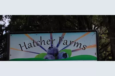 18811 SE 243rd Street, Hawthorne, FL 32640 - Photo 22