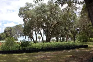 18811 SE 243rd St, Hawthorne, FL 32640 - Photo 20