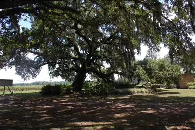 18811 SE 243rd Street, Hawthorne, FL 32640 - Photo 30