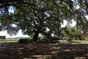 18811 SE 243rd St, Hawthorne, FL 32640 - Photo 30