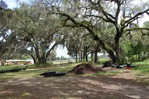 18811 SE 243rd St, Hawthorne, FL 32640 - Photo 14