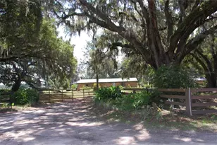 18811 SE 243rd St, Hawthorne, FL 32640 - Photo 26