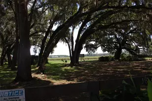 18811 SE 243rd St, Hawthorne, FL 32640 - Photo 28