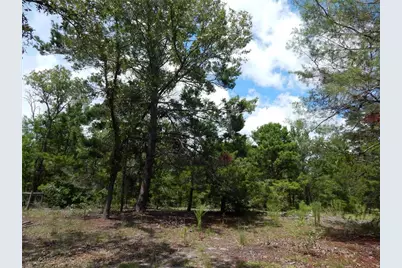 354 NW 93rd Lane, Branford, FL 32008 - Photo 36