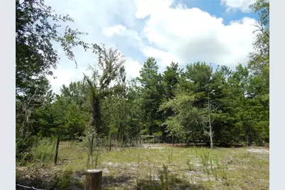 354 NW 93rd Lane, Branford, FL 32008 - Photo 38