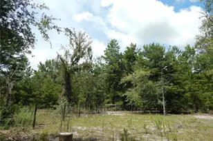 354 NW 93rd Ln, Branford, FL 32008 - Photo 38