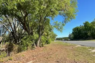 3109 N US Hwy 129, Bell, FL 32619 - Photo 1