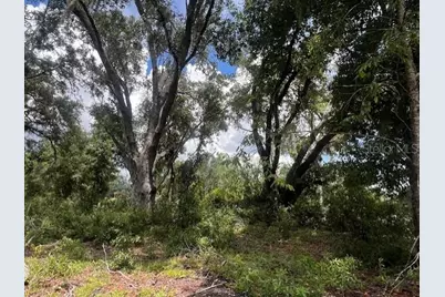 3109 N US Highway 129, Bell, FL 32619 - Photo 12