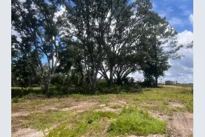3109 N US Highway 129, Bell, FL 32619 - Photo 16