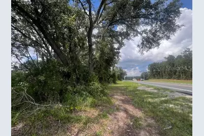 3109 N US Highway 129, Bell, FL 32619 - Photo 10
