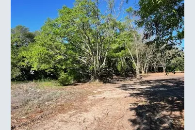 3109 N US Highway 129, Bell, FL 32619 - Photo 4