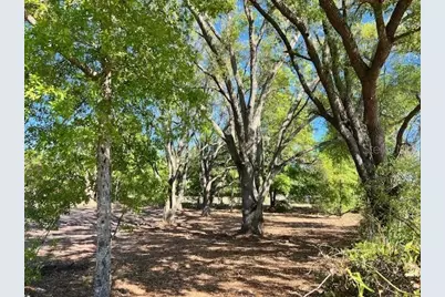 3109 N US Highway 129, Bell, FL 32619 - Photo 2