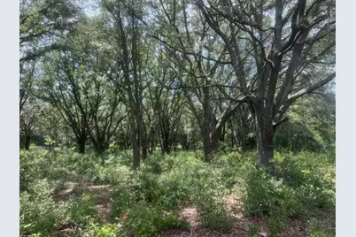 3109 N US Highway 129, Bell, FL 32619 - Photo 14