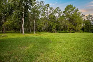 19262 NW 84th Ave, Starke, FL 32091 - Photo 26