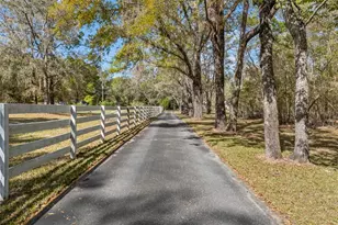 4250 NW 81st Ln, Bell, FL 32619 - Photo 46