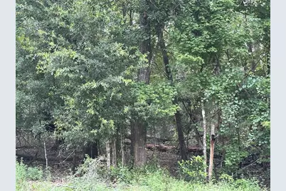 Tbd SW Reno Way, Fort White, FL 32038 - Photo 1