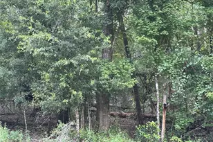 Tbd SW Reno Way, Fort White, FL 32038 - Photo 1