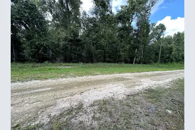 Tbd SW Reno Way, Fort White, FL 32038 - Photo 2