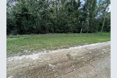 Tbd SW Reno Way, Fort White, FL 32038 - Photo 6