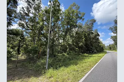 1324 NE 239 Avenue, Old Town, FL 32680 - Photo 2