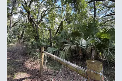 1324 NE 239 Avenue, Old Town, FL 32680 - Photo 8