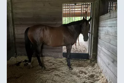 13009 NW 123rd Place, Alachua, FL 32615 - Photo 64