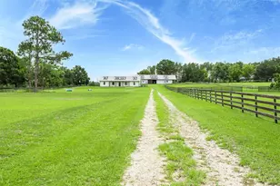 13009 NW 123rd Pl, Alachua, FL 32615 - Photo 4