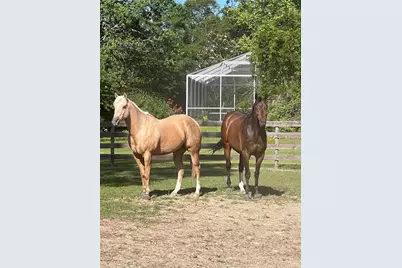 13009 NW 123rd Place, Alachua, FL 32615 - Photo 62