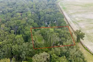 11790 NW 110 Ave, Chiefland, FL 32626 - Photo 1