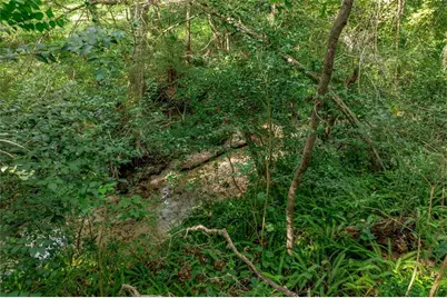 1636 NW 8th Avenue, Gainesville, Fl, FL 32603 - Photo 62