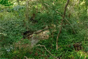 1636 NW 8th Ave, Gainesville, Fl, FL 32603 - Photo 62