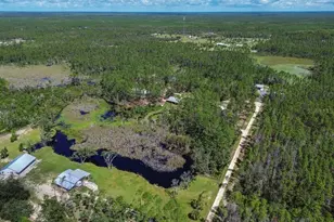 501 NE Duncan Ln NE, Steinhatchee, FL 32359 - Photo 44