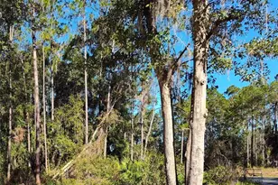 21215 SE 111 Ave, Hawthorne, FL 32640 - Photo 8