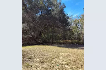 21215 SE 111th Avenue, Hawthorne, FL 32640 - Photo 26